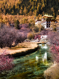 大山里的人间仙境