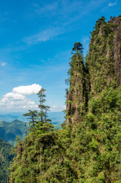 中国湖南省郴州市莽山五指峰妙笔生花景观