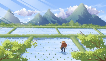 春天水稻种植插画