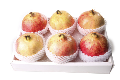 白底上的突尼斯软籽石榴