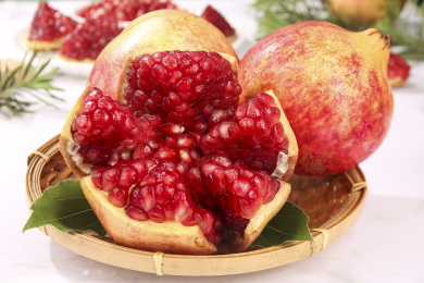 浅底上的突尼斯软籽石榴