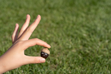 女孩ok手型捏着笑脸表情的橡果