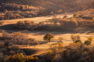 内蒙古乌兰布统坝上草原秋景