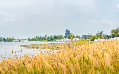 成都东安湖公园东安阁秋冬景象
