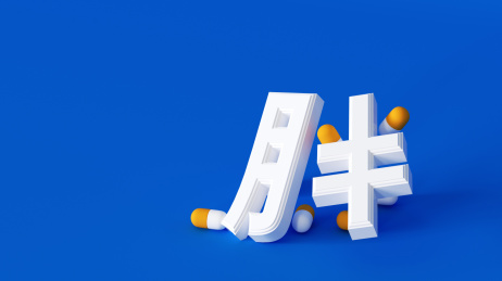 三维肥胖药物治疗模型
