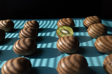 蓝色背景下的大量猕猴桃的高角度视图