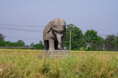河南巩义麦地里宋陵中的雕像
