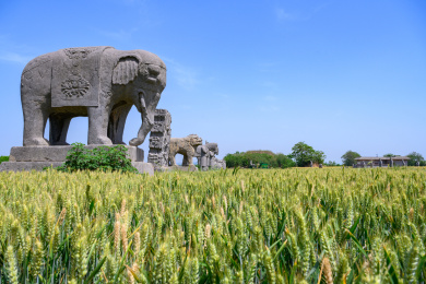 河南巩义麦地里宋陵中的雕像