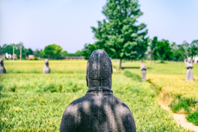 河南巩义麦地里宋陵中的雕像