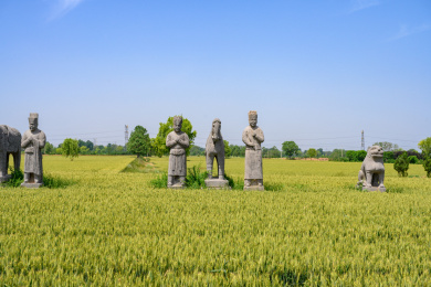 河南巩义麦地里宋陵中的雕像
