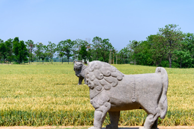 河南巩义麦地里宋陵中的雕像