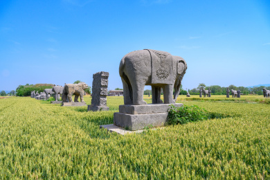 河南巩义麦地里宋陵中的雕像
