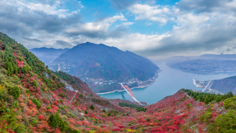 中国重庆巫山长江三峡云峰观红叶