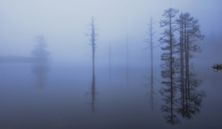 大雾中的四川瓦屋山山顶高山湖泊和森林风景