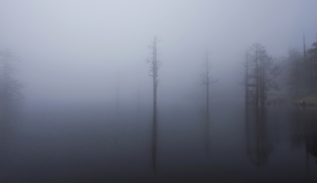 大雾中的四川瓦屋山山顶高山湖泊和森林风景