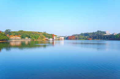 广州麓湖公园湖畔树林倒影自然风光