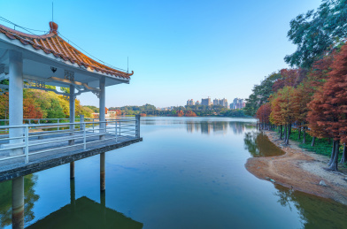 广州麓湖公园湖畔凉亭中式传统建筑