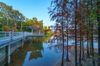 广州麓湖公园湖畔凉亭中式传统建筑