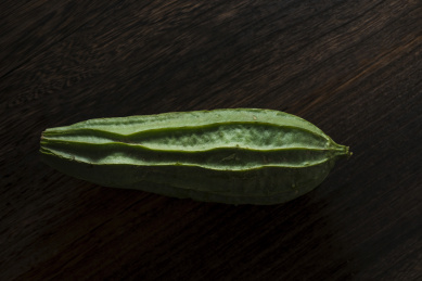 新鲜美味营养健康的丝瓜食材