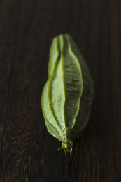 新鲜美味营养健康的丝瓜食材