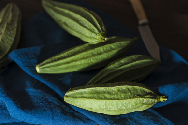 新鲜美味营养健康的丝瓜食材