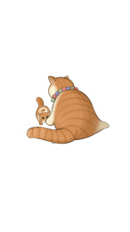 打架猫