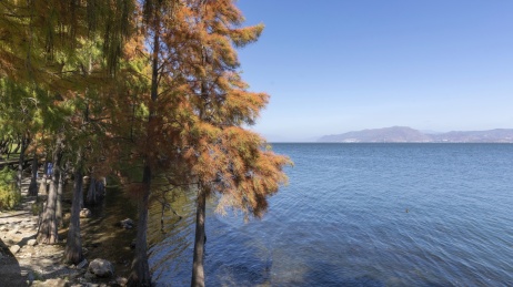 中国云南大理洱海生态廊道自然风景