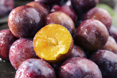 深底上的红脆李