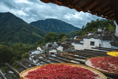中国江西婺源篁岭村秋季晒秋景观