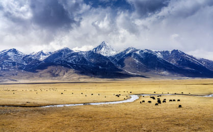 中国西藏那曲青藏铁路沿线藏北那曲草原风光