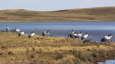 中国云南大山包大海子湿地自然景观