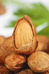 深底上的扁桃仁