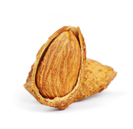 白底上的巴旦木