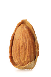 白底上的巴旦木