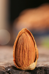 深底上的扁桃仁