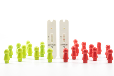 人偶模型和抗原试剂