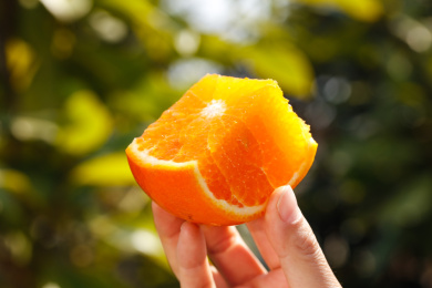 手里拿着新鲜沃柑