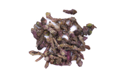 白色背景上的中药材款冬花