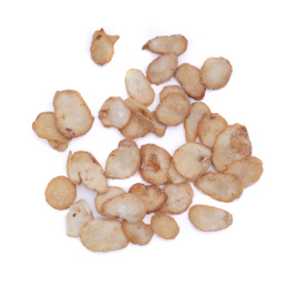 白色背景上的中药材姜水半夏