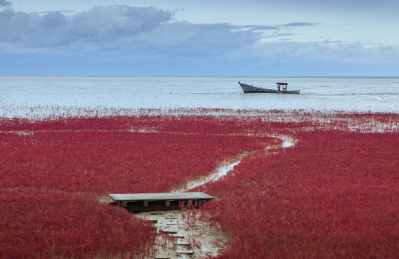 红海滩风光，红海滩国家风景廊道
