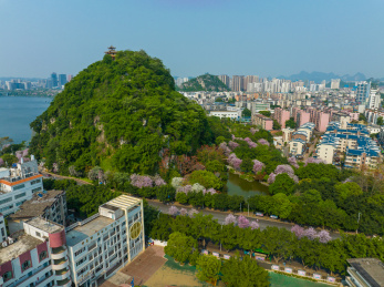 柳州驾鹤山及城市风光