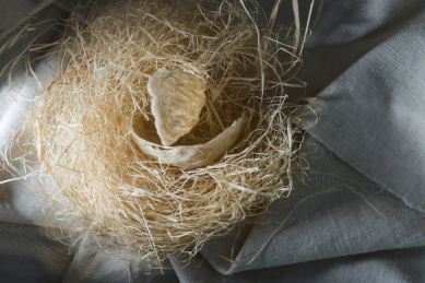 滋补养生的高品质燕窝保健品