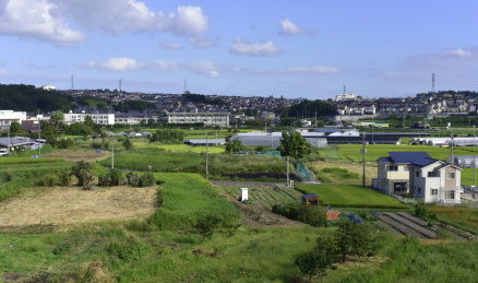 田地与乡镇建筑
