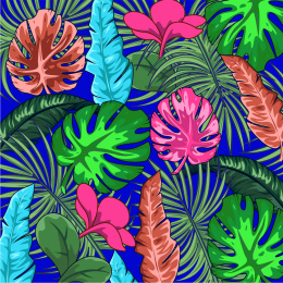 热带植物的插画