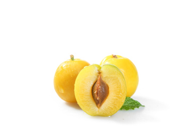 白底上的小白杏