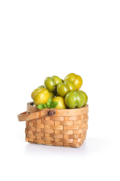 白底上的蜂糖李