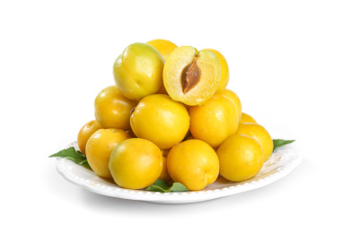 白底上的小白杏