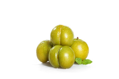 白底上的蜂糖李