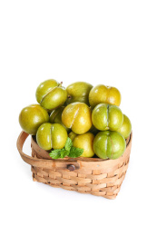 白底上的蜂糖李