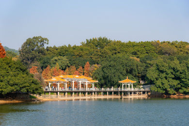 广州麓湖公园自然风光